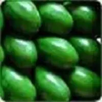 Brazilian avocado